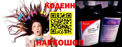 шишки Тара