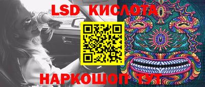 шишки Тара